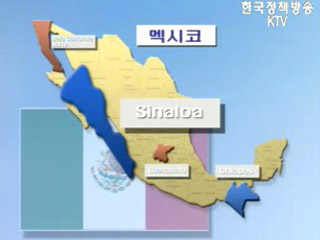 대외경제정책연구원, 멕시코 설문조사