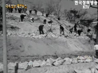 활발한 사방공사('62)