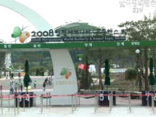 함평 나비축제 경제효과 수천억원