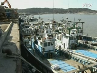 연평도 주민 '긴급 대피'