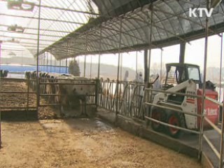 구제역 피해 농가 재산세 감면