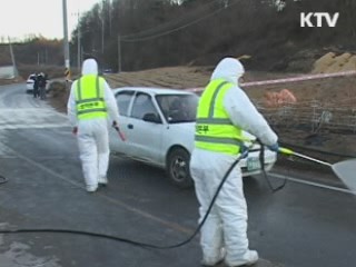 구제역 백신 접종 대상 전국 확대