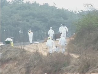 "가축 매몰지 지하수 오염 확인 안돼"