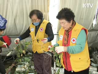강릉·삼척·울진, '특별재난지역' 선포