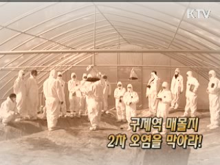 구제역 매몰지 2차 오염을 막아라! [정책, 현장을 가다] 