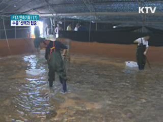 농식품 전략품목, 수출 100억달러 견인