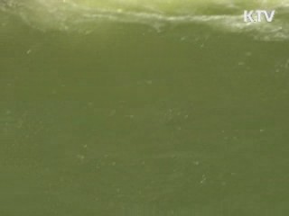 녹조 확산…고도정수처리 시설 확대