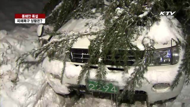 동해안 폭설 피해복구 상황은?