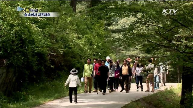 지친 몸과 마음 숲 속에서 치유해요