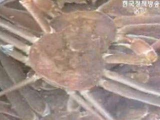 일본 수출 12개 수산물 원산지증명서 제출