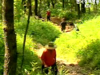 생활정책 Q&A - 등산로 휴식년제?