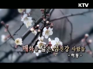 "매화를 닮은 섬진강 사람들, 하동"