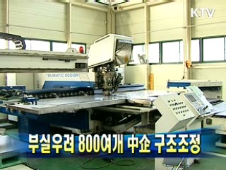 부실우려 800여개 中企 구조조정