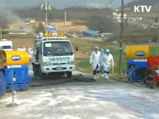 민·관·군 합동 구제역 확산방지 총력