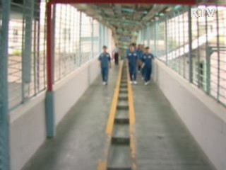 보호감호제 내년 상반기 시행