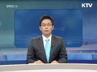 정책라인 10 (29회)