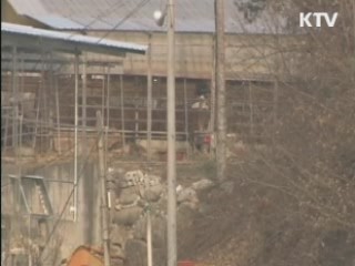 정부, 구제역 백신접종 여부 신중 검토