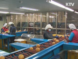 농협 50년만의 개편···다음달 재탄생