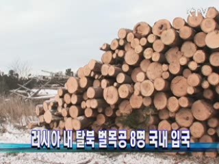 러시아 내 탈북 벌목공 8명 국내 입국