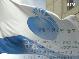 저축은행 4곳 영업정지