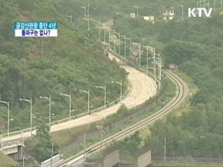 금강산관광 중단 4년···돌파구는 없나?