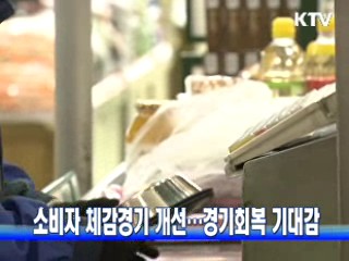 소비자 체감경기 개선···경기회복 기대감