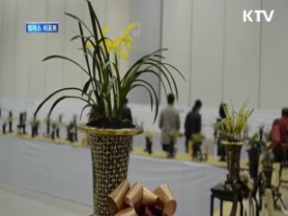 '대한민국 난대전'···난 8백종 한자리에 [캠퍼스 리포트]