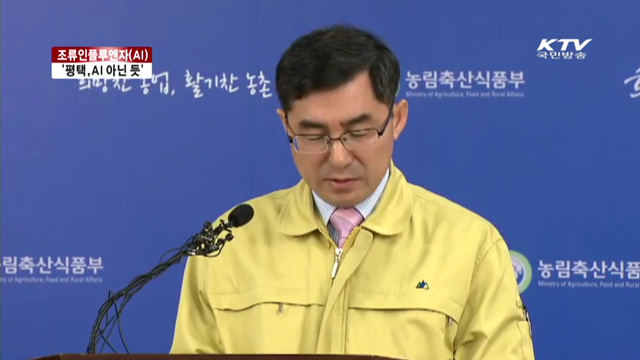 "평택 의심신고 AI 아닌 듯…정밀검사 중"