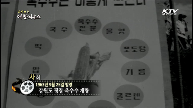 다시보는 대한늬우스 (63.09.25)