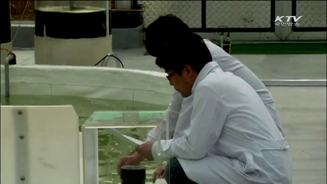 기후변화 대응 10대 연구개발 성과 발표