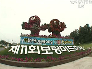 보령머드축제, 세계 명품축제로