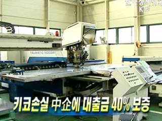 키코손실 中企에 대출금 40% 보증