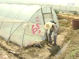 4대강 사업 연내 5천800억원 보상