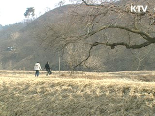 공주, 봉현리의 봄봄봄 - 봉현리 생활문화 공동체 [문화공감 대한민국]