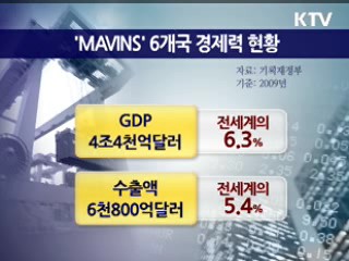 지구촌 블루오션 '마빈스' 잡아라