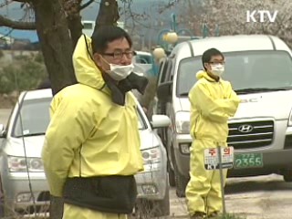 산림청, 구제역 매몰지로 국유림 제공 