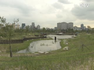 '서울 G20 보고회의' 대한민국 비전 제시