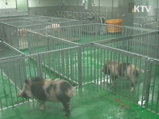 보건복지부, 이종간 이식 법제화 검토 중