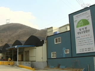 LED로 '명품 버섯' 만든다