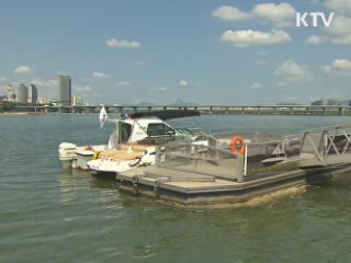 서울시, 4년만에 한강 조류주의보 발령