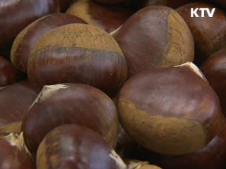 사료원료 구매자금 지원 1조원으로 확대