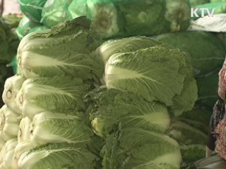 김장물가 '비상'…수급안정대책 추진