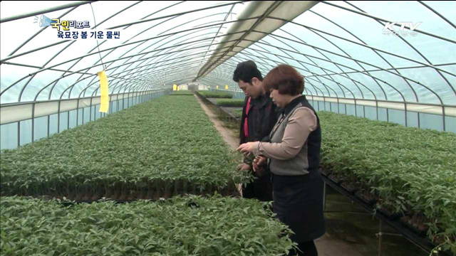 봄 기운 속 육묘장…농사 채비 분주