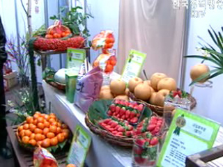 친환경농산물 시대