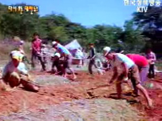 풍년 스케치(`77)