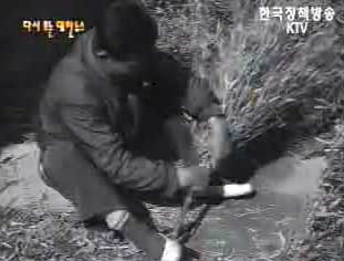 농가 부업을 장려(`63)