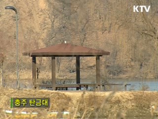 4대강 살리기 -문화-