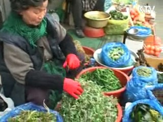 지금, 대한민국