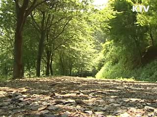 식목일 제정 당시보다 산림 12배 증가