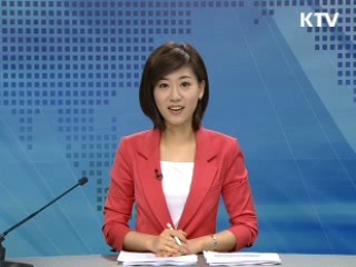 정책 포커스 (229회)